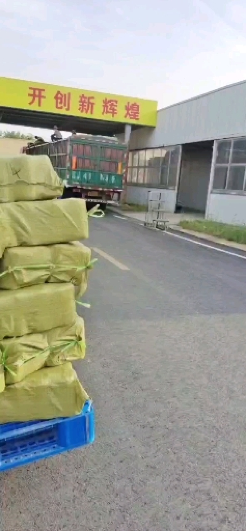 【优品】鸡枞菌包黑皮鸡枞菌包品质好价格优