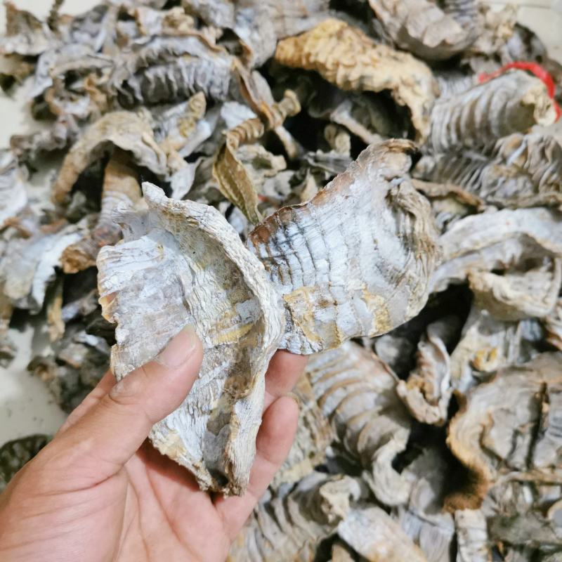 大片无盐干竹笋干笋淡水竹笋干货干笋新货竹春笋干湖南水煮
