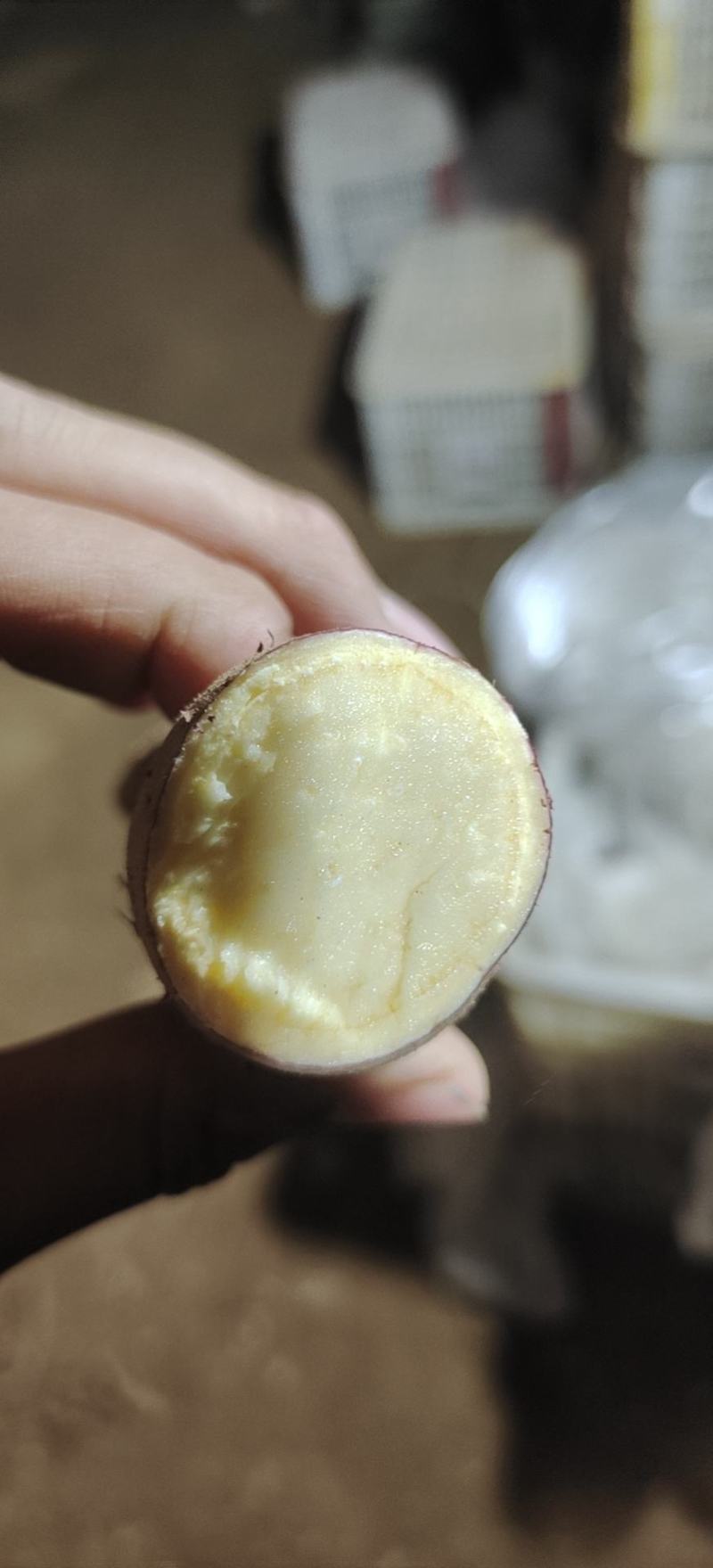红薯苗，紫薯苗，济薯26苗，西瓜红，烟暑25，密薯，