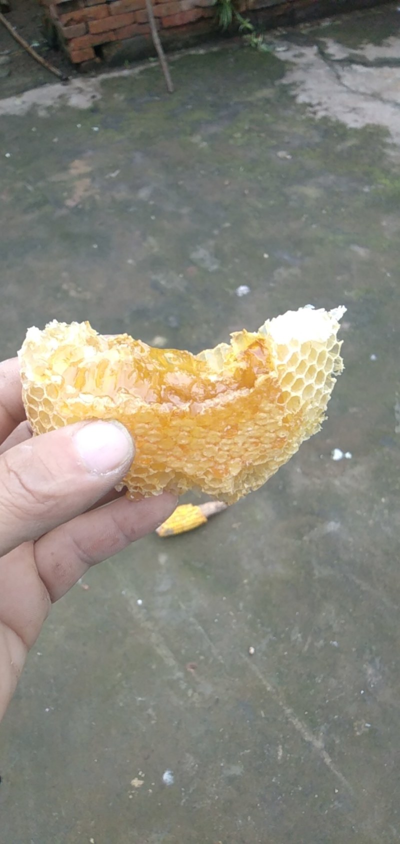 纯中蜂蜜
