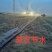 多孔带微喷带加厚加重柔韧耐用百米喷洒