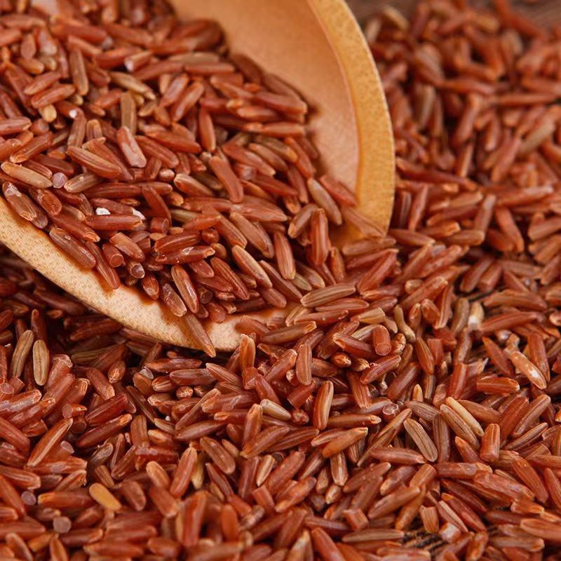 红米现货批发农家自产红糙米五谷杂粮红稻米红大米