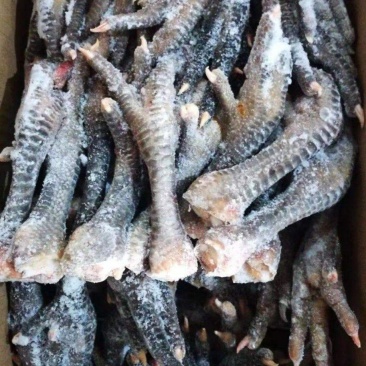 工厂直发土鸡爪，黑鸡爪，麻鸡爪，40克以上，量大优惠