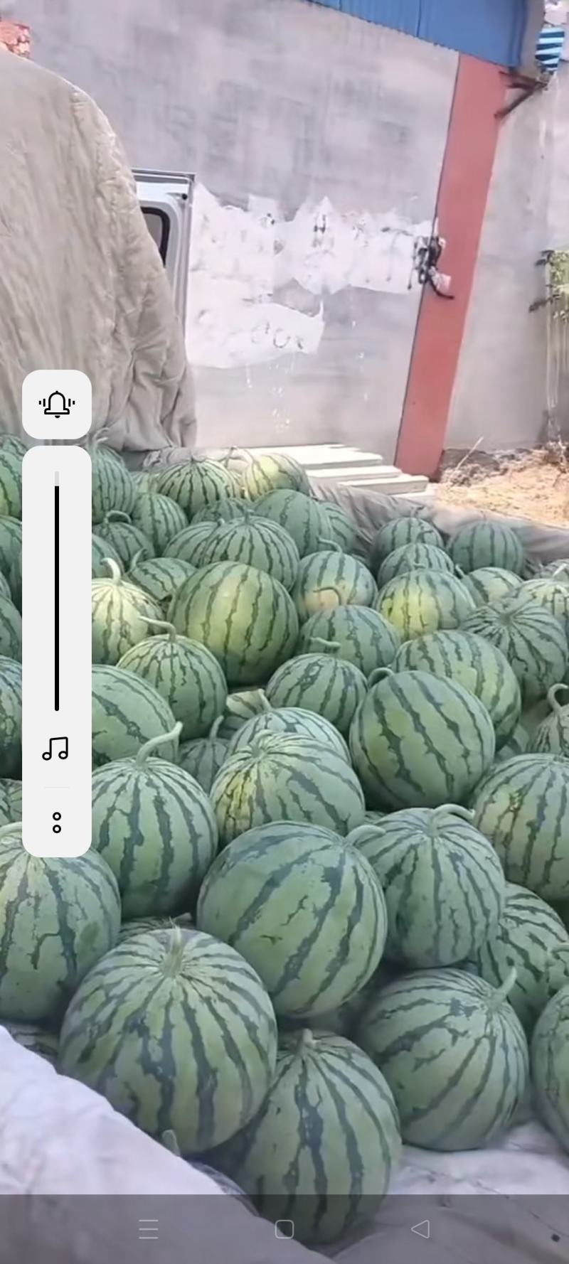 8424