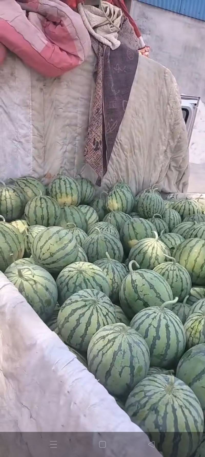 8424