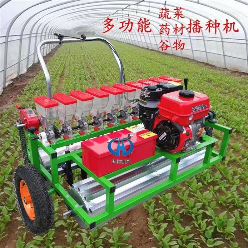 汽油款蔬菜播种机香菜油菜大葱育苗机，萝卜小颗粒种子播种机
