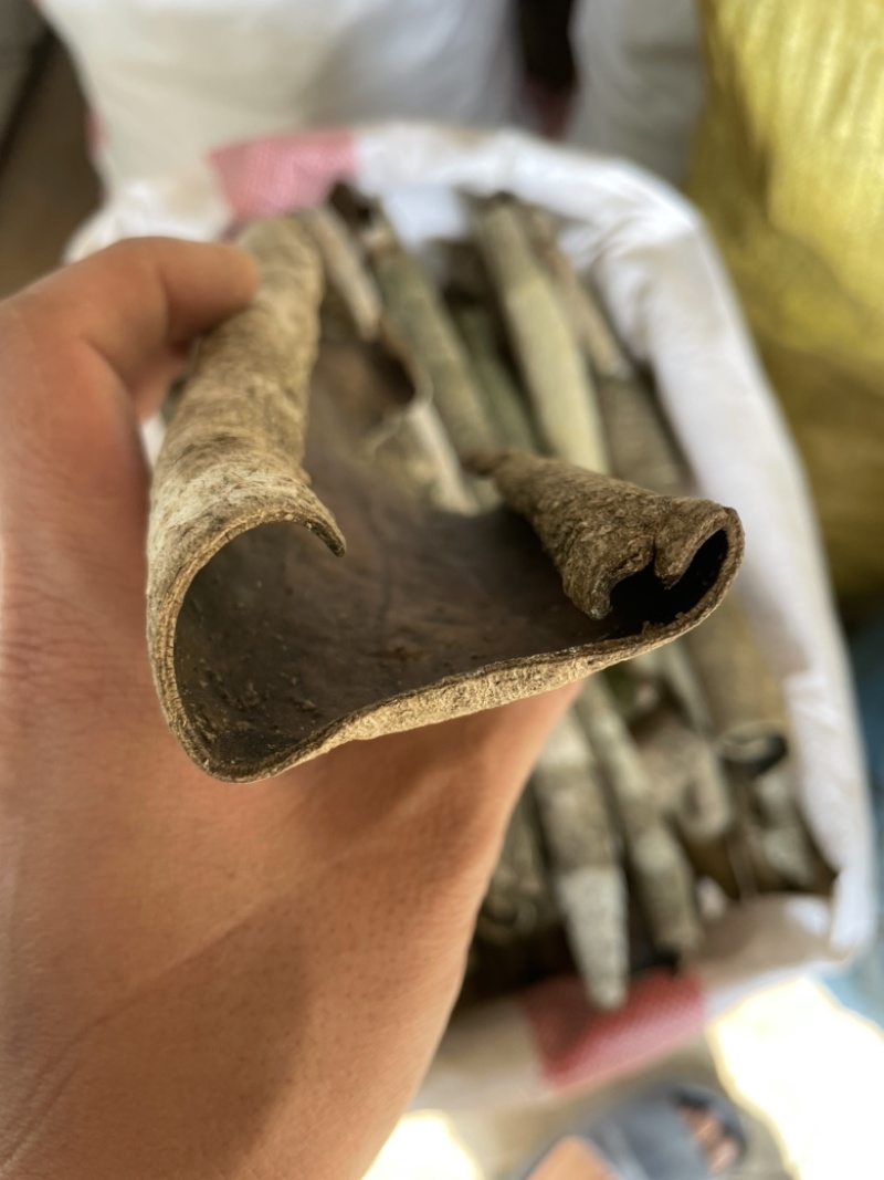 救必应批发零售中药材一斤起发量大从优一件代发