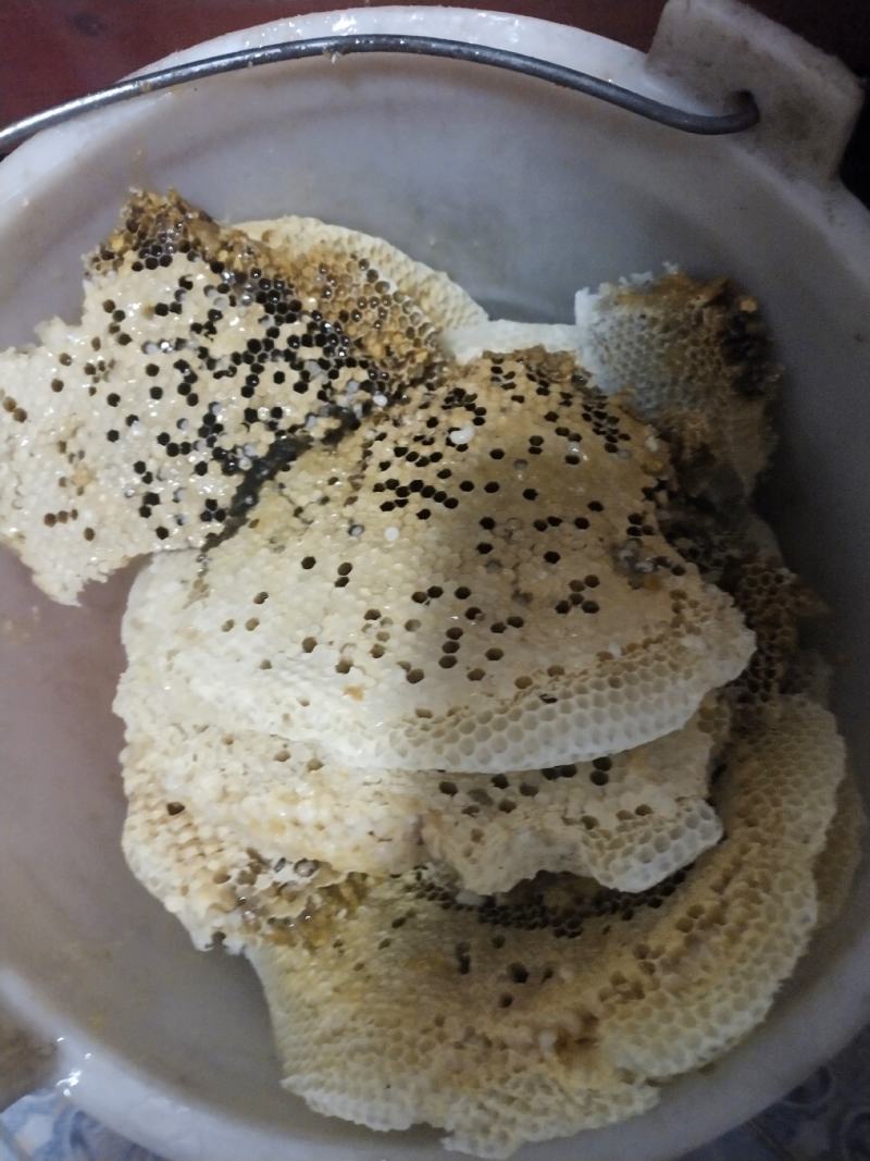 出售野生峰蜜，云南楚雄野花蜂，百花蜜，治百病的一种蜂蜜。