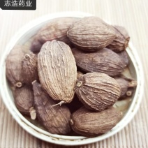 【志浩药业】草果各种香料批发诚信经营