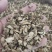 石菖蒲干货石菖蒲中药材！量大从优！！