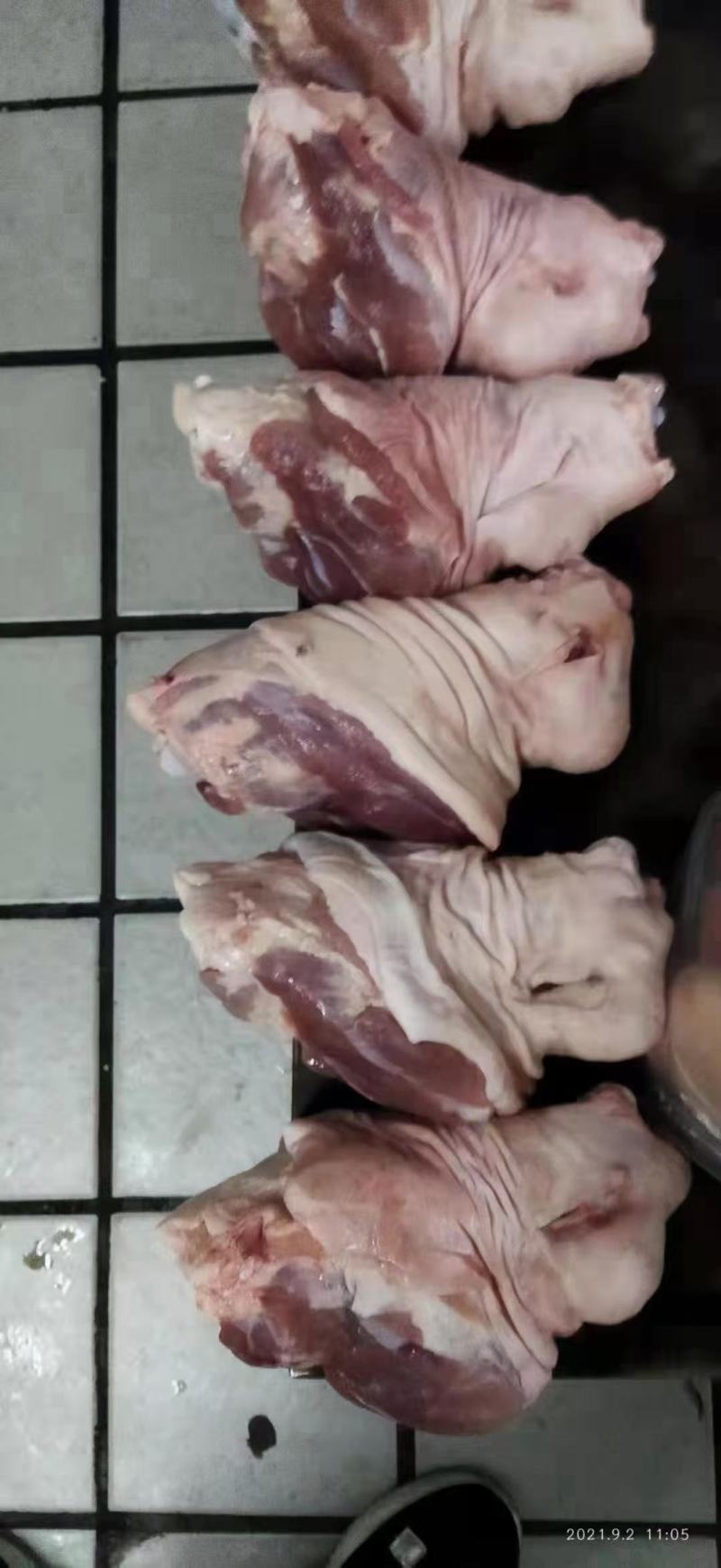 标猪前肘肘子