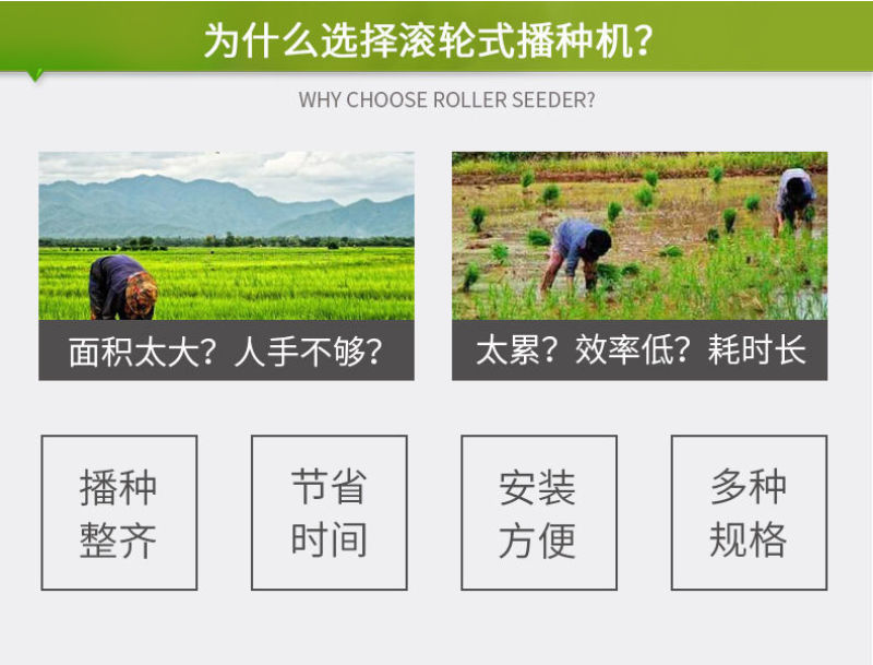 手推式滚轮播种机花生玉米大豆蔬菜种多功能点播机精播种器