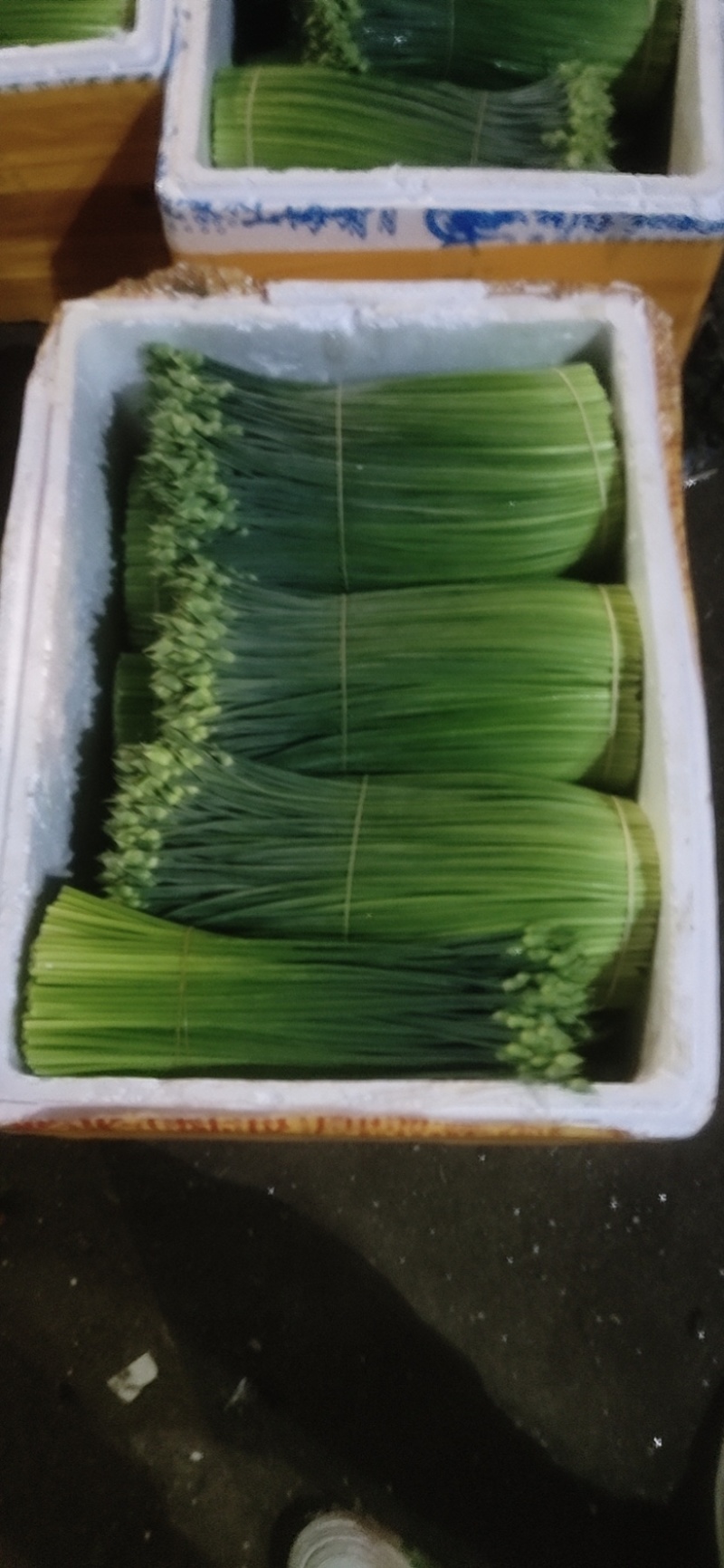【推荐】精品韭菜花全国发货承接代理一手货源物美价廉