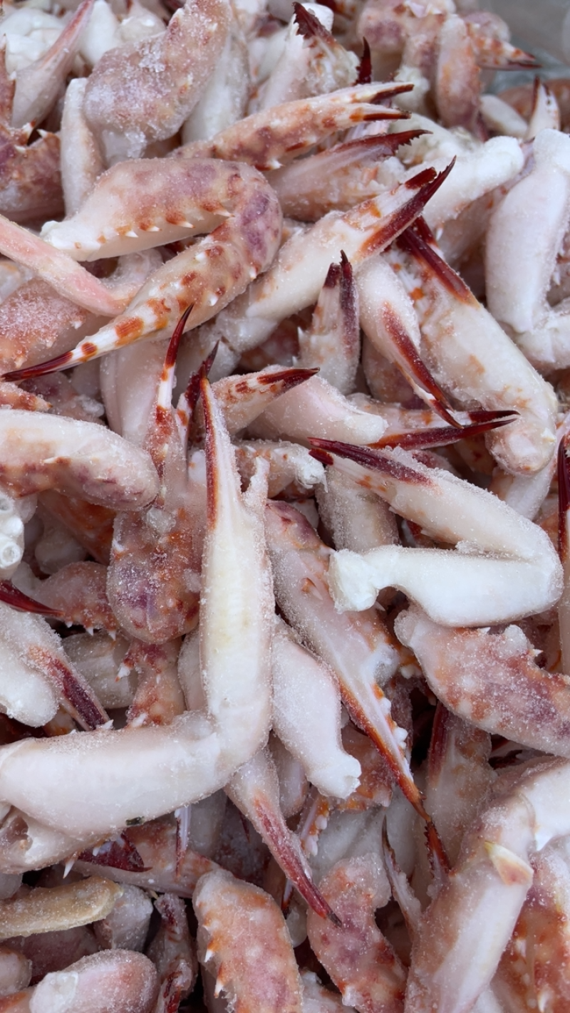 花蟹钳蟹钳螃蟹钳捞汁海鲜食材醉蟹钳海鲜水产批发