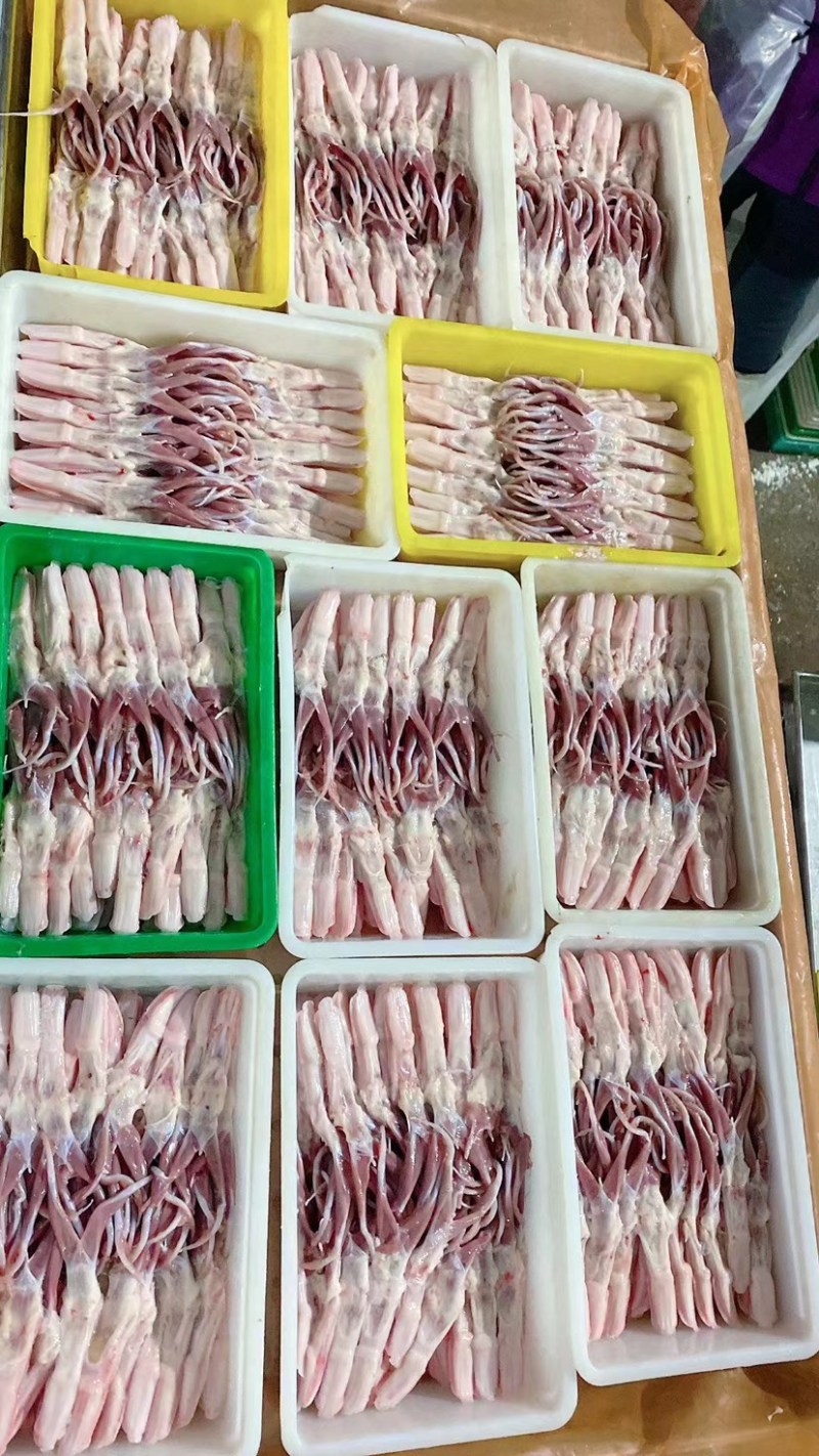 白条鸭
