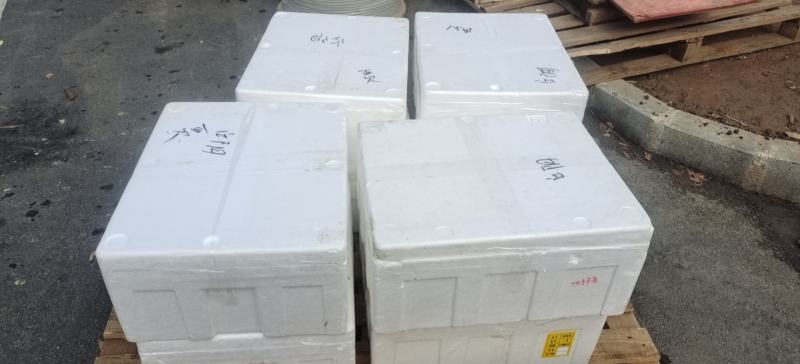 豌豆苗，量大从优