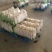 【精品】质量问题包赔湖北天门自己种植白萝卜产地直供