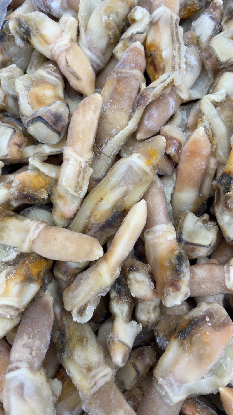 产地直销蛏王肉去沙嘴蛏王肉海蛏子肉圣子肉海鲜水产