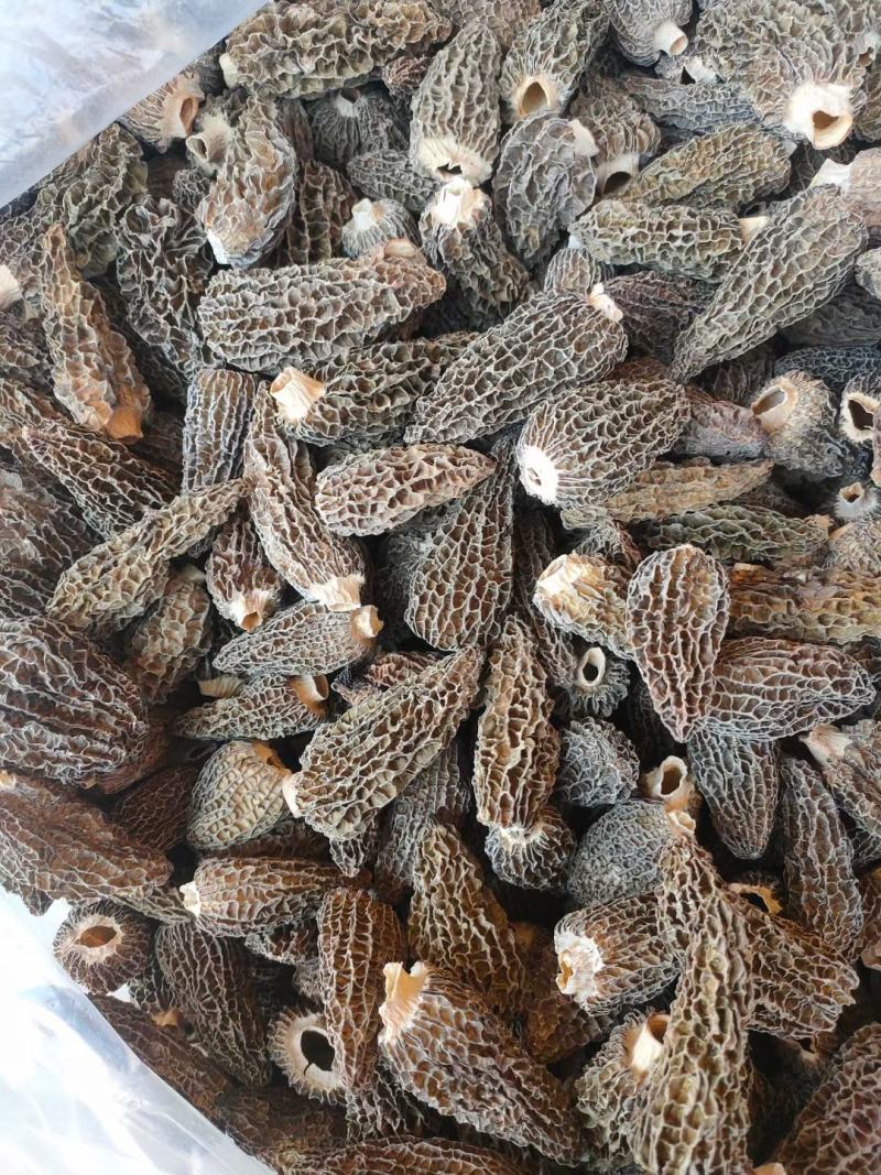 七妹羊肚菌、剪炳、无硫足干、大小均匀、每颗饱满、