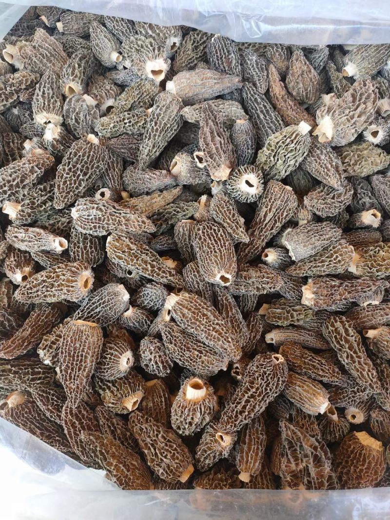 七妹羊肚菌、剪炳、无硫足干、大小均匀、每颗饱满、