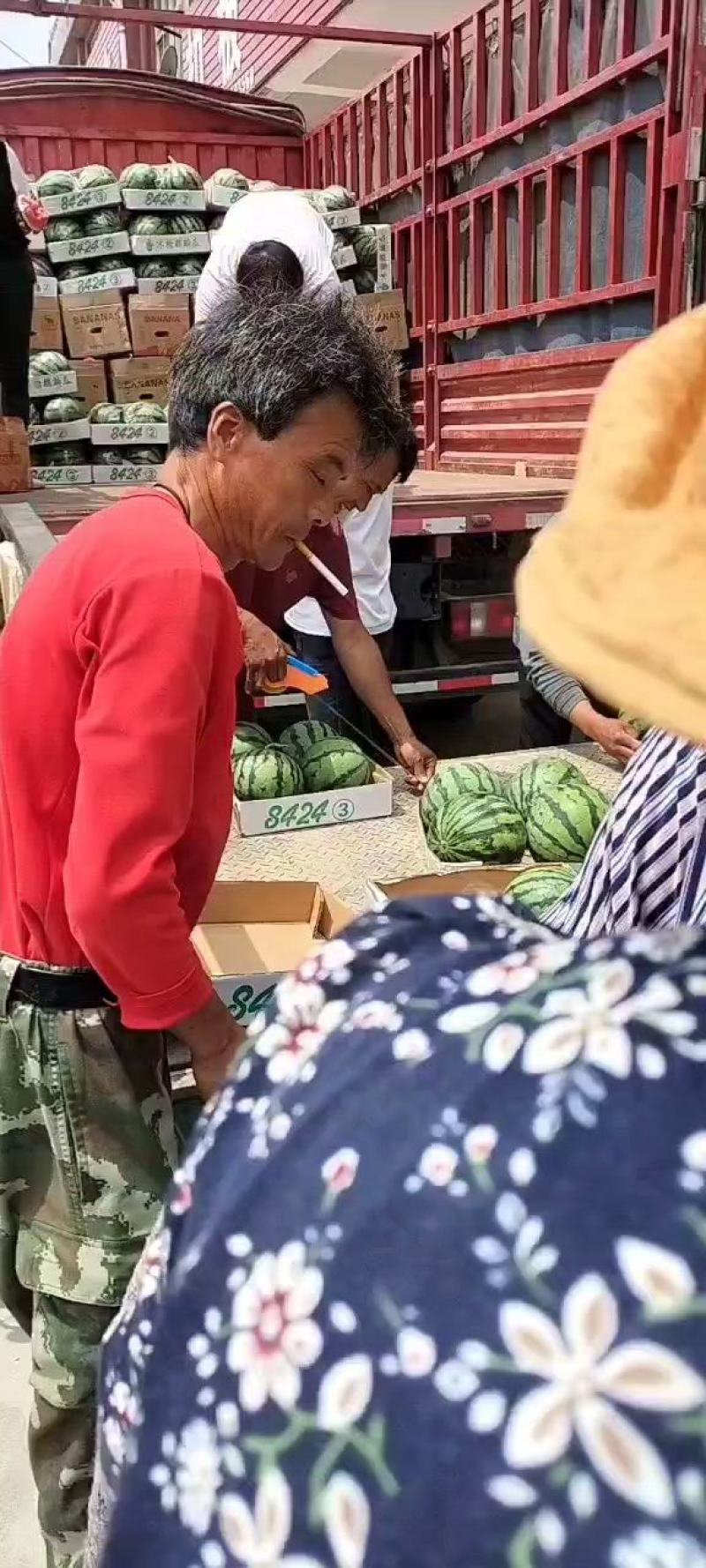 优质安徽砀山美都8424西瓜皮薄汁甜糖度高对接电商批发商商超