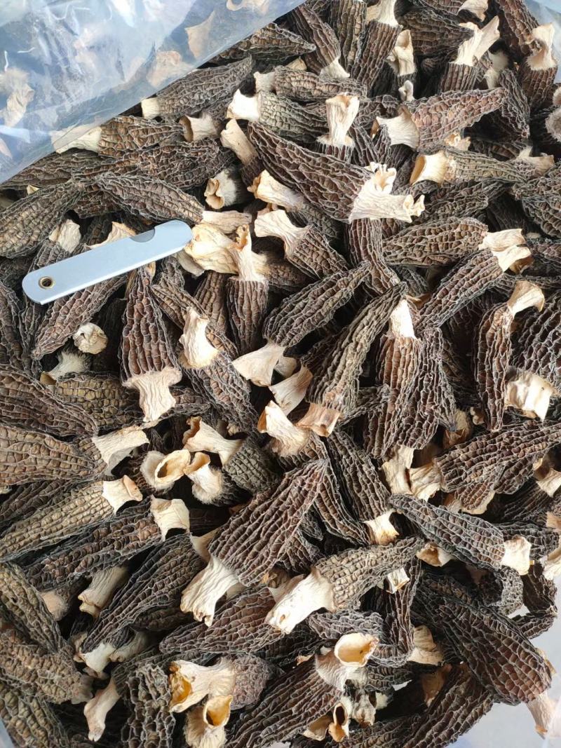 【精品羊肚菌】剪柄肉质厚实纹路均匀个头饱满