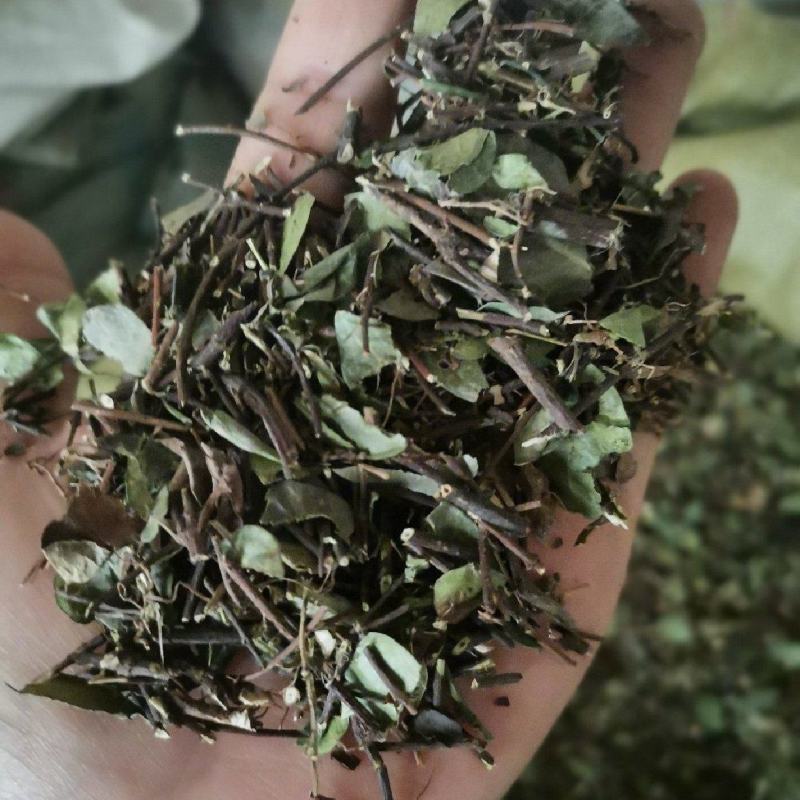 络石藤统装500g产地山东振兴药材购销站量大从优