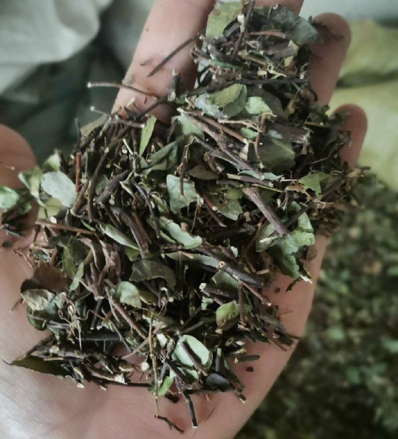 络石藤统装500g产地山东振兴药材购销站量大从优