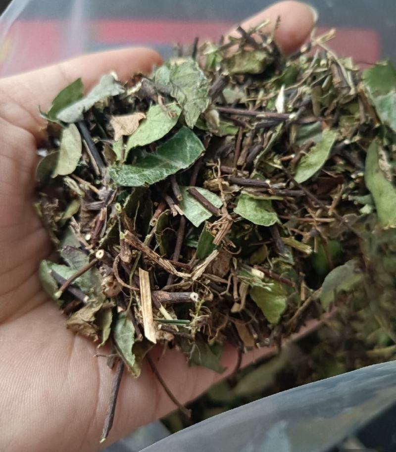 络石藤统装500g产地山东振兴药材购销站量大从优