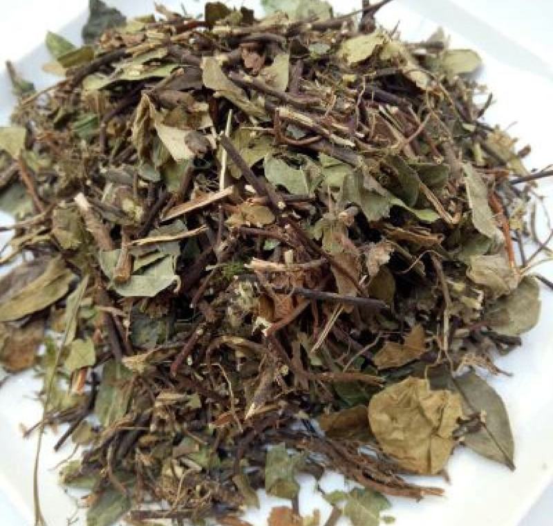 络石藤统装500g产地山东振兴药材购销站量大从优