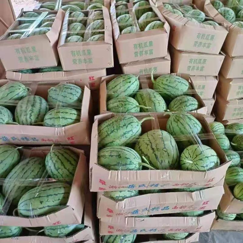 【推荐】湖北早春红玉湖北西瓜大量有货欢迎咨询