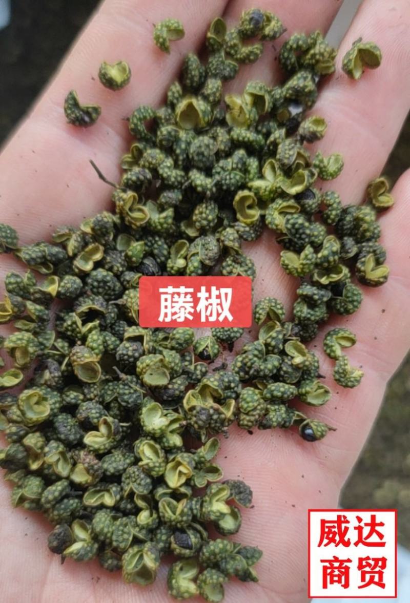 四川青花椒特香特麻绿麻椒粒青麻干藤椒，新货上市。产地直销