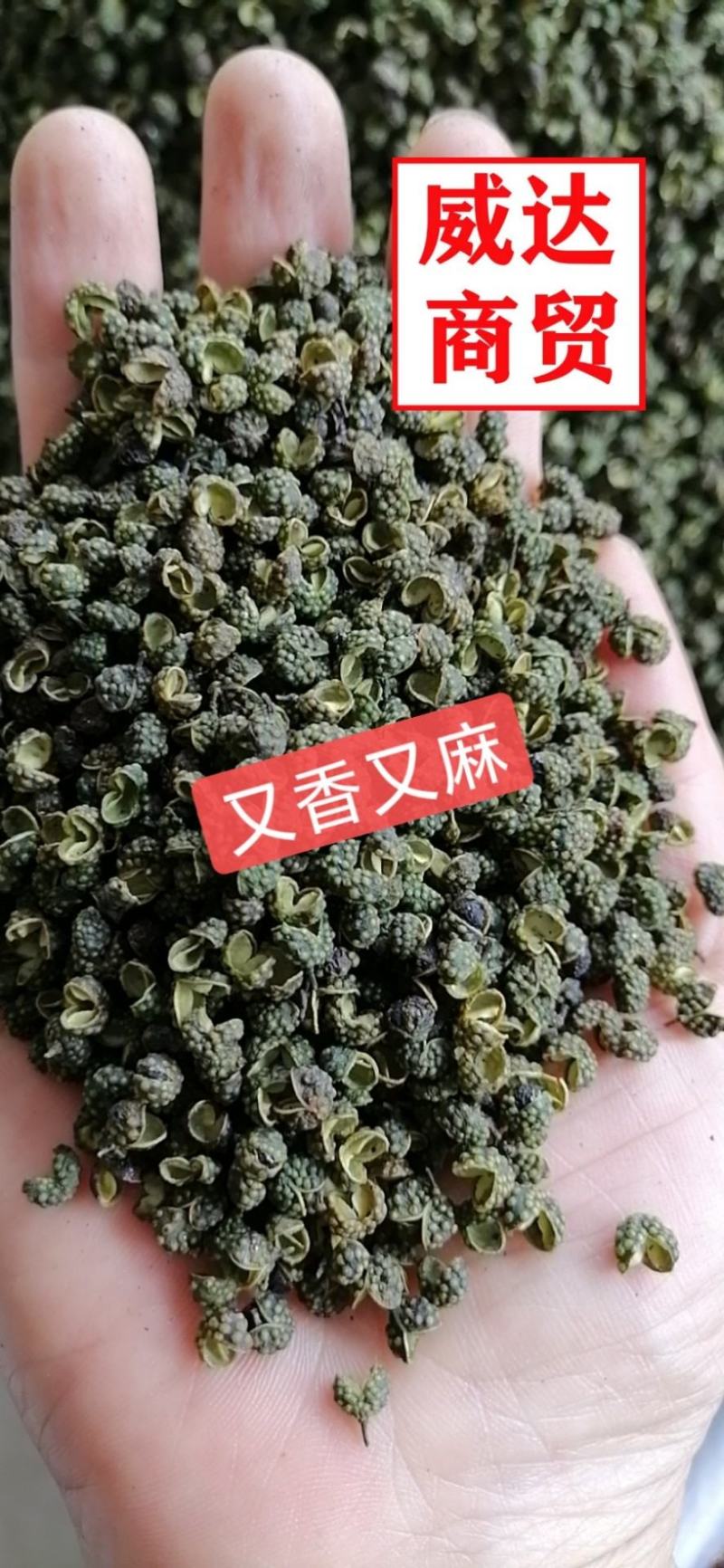 四川青花椒特香特麻绿麻椒粒青麻干藤椒，新货上市。产地直销