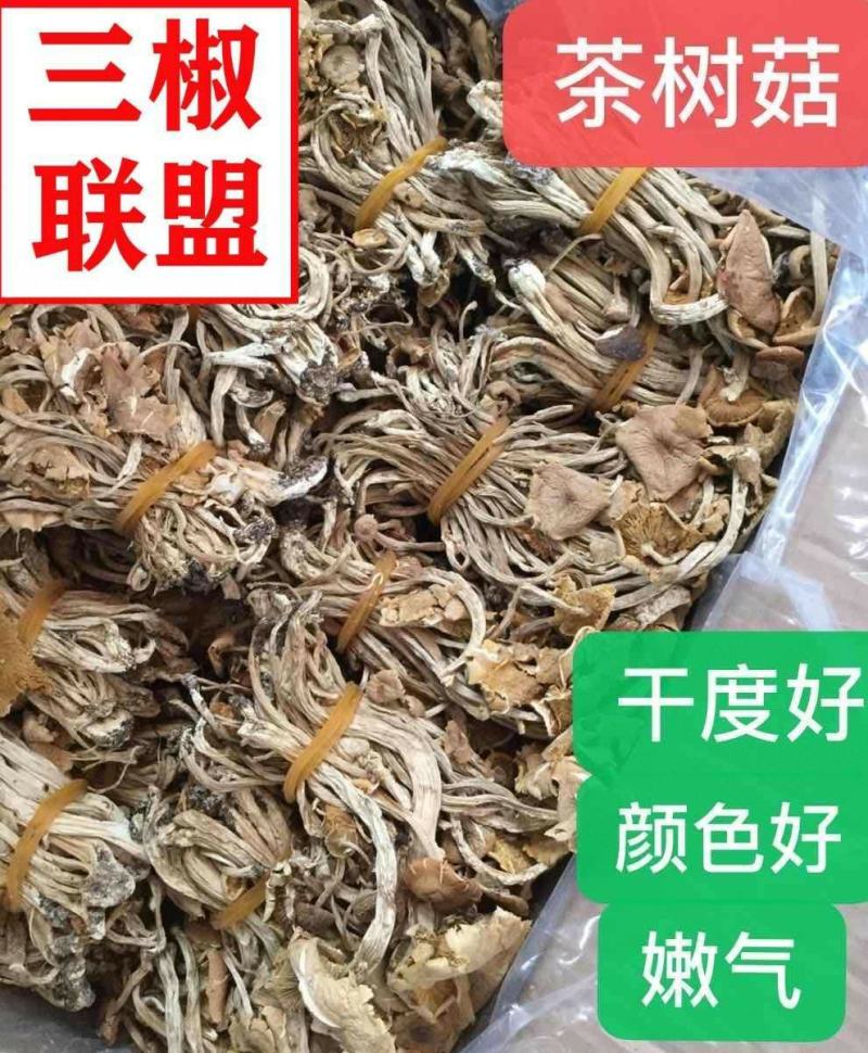茶树菇干货开伞茶树菇长条扎把火热畅销款产地直销