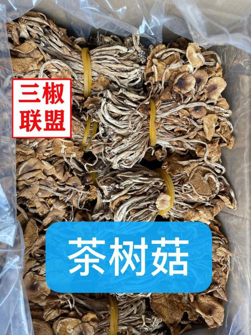 茶树菇干货开伞茶树菇长条扎把火热畅销款产地直销