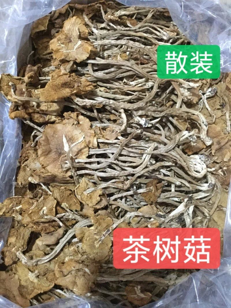茶树菇干货开伞茶树菇长条扎把火热畅销款产地直销