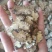 【傲宇药材】川芎，新货薄片量大优惠，诚信药材