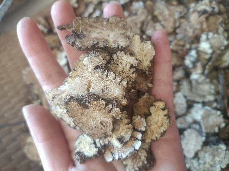 【傲宇药材】川芎，新货薄片量大优惠，诚信药材