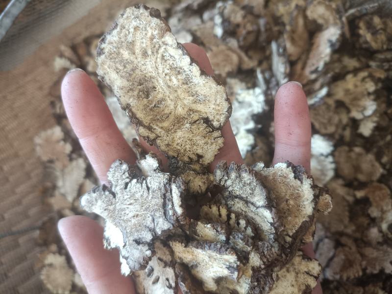 【傲宇药材】川芎，新货薄片量大优惠，诚信药材