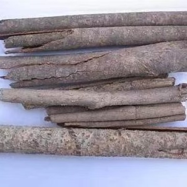 厚朴皮