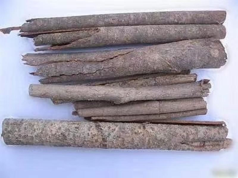厚朴皮