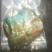 银金钢铜铁木胶