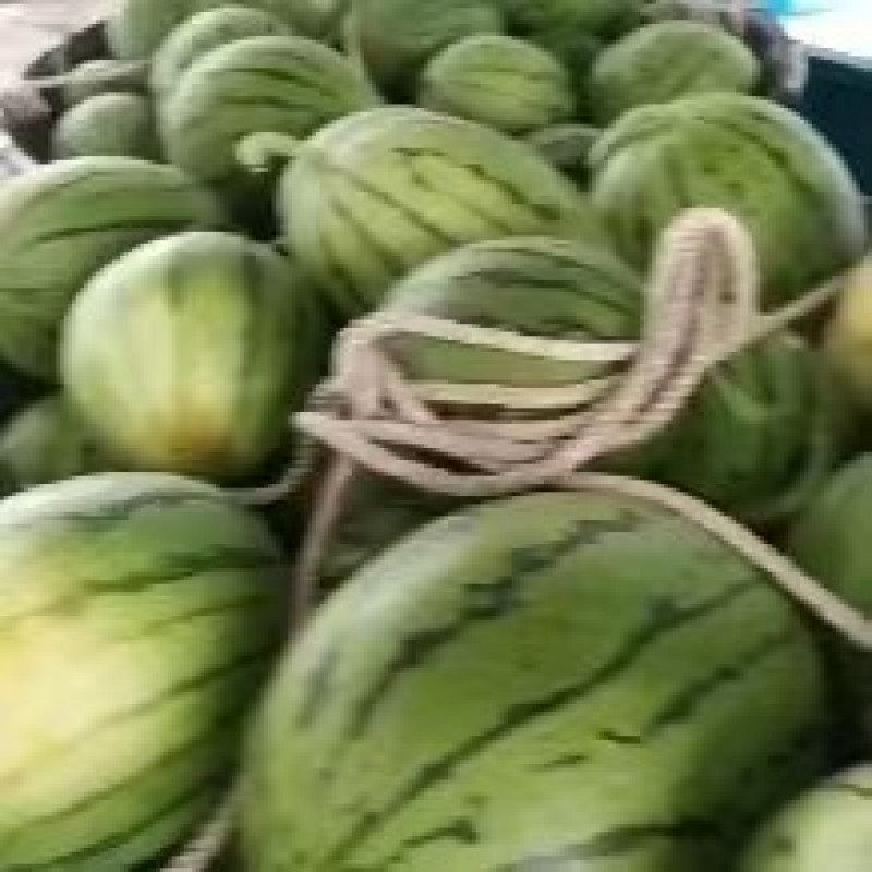 早春红玉，拿比特，**甜