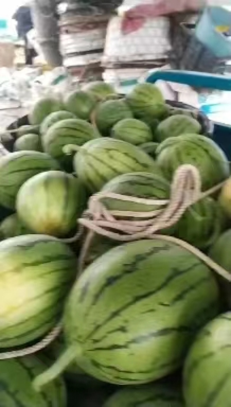 早春红玉，拿比特，**甜