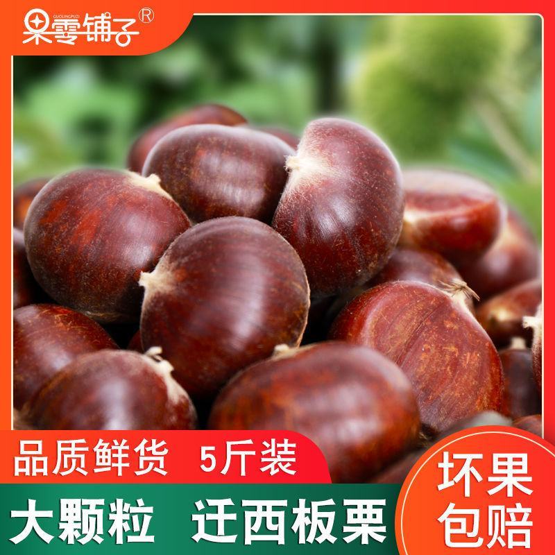 迁西板栗鲜栗子生栗子正宗油栗子新鲜即食新下树特产精选包邮