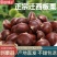 迁西板栗鲜栗子生栗子正宗油栗子新鲜即食新下树特产精选包邮