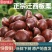迁西板栗鲜栗子生栗子正宗油栗子新鲜即食新下树特产精选包邮