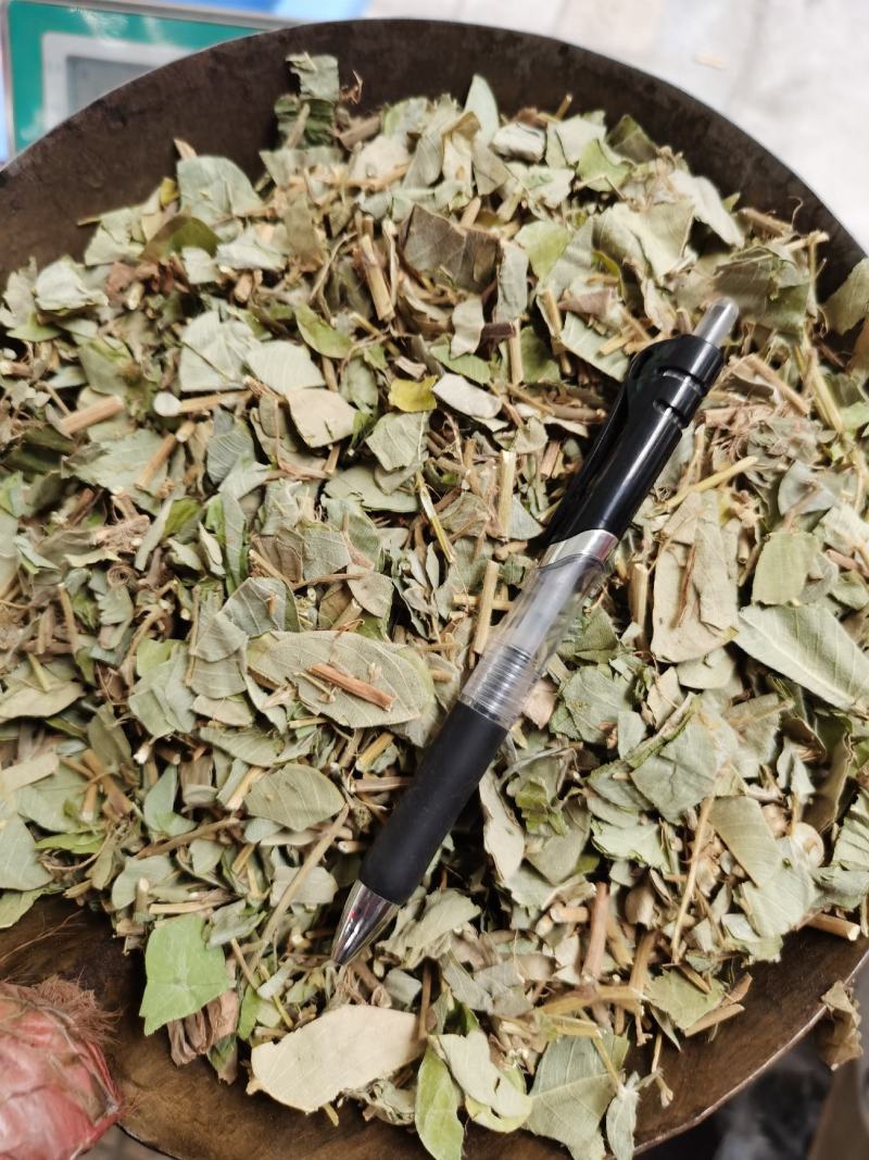 广金钱草精品过筛，吸尘广金钱草，足干高含量