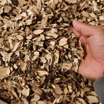 紫苏梗过全检紫苏梗，足干颜色青绿，大货供应