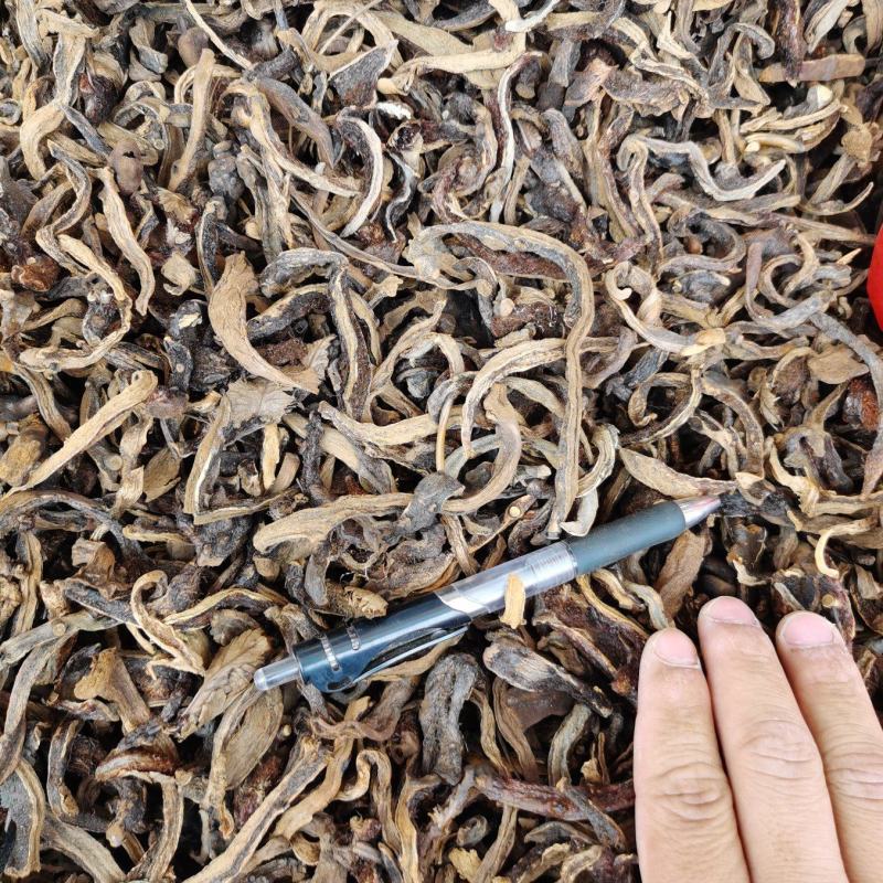 骨碎补抛光，干净，精选广西高含量骨碎补